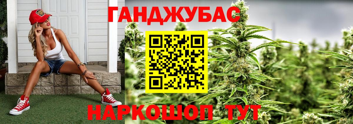 Каннабис семена  Конопля индика  Аргун  Марихуана THC 21%  Вход с VPN 